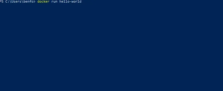 docker_run.gif