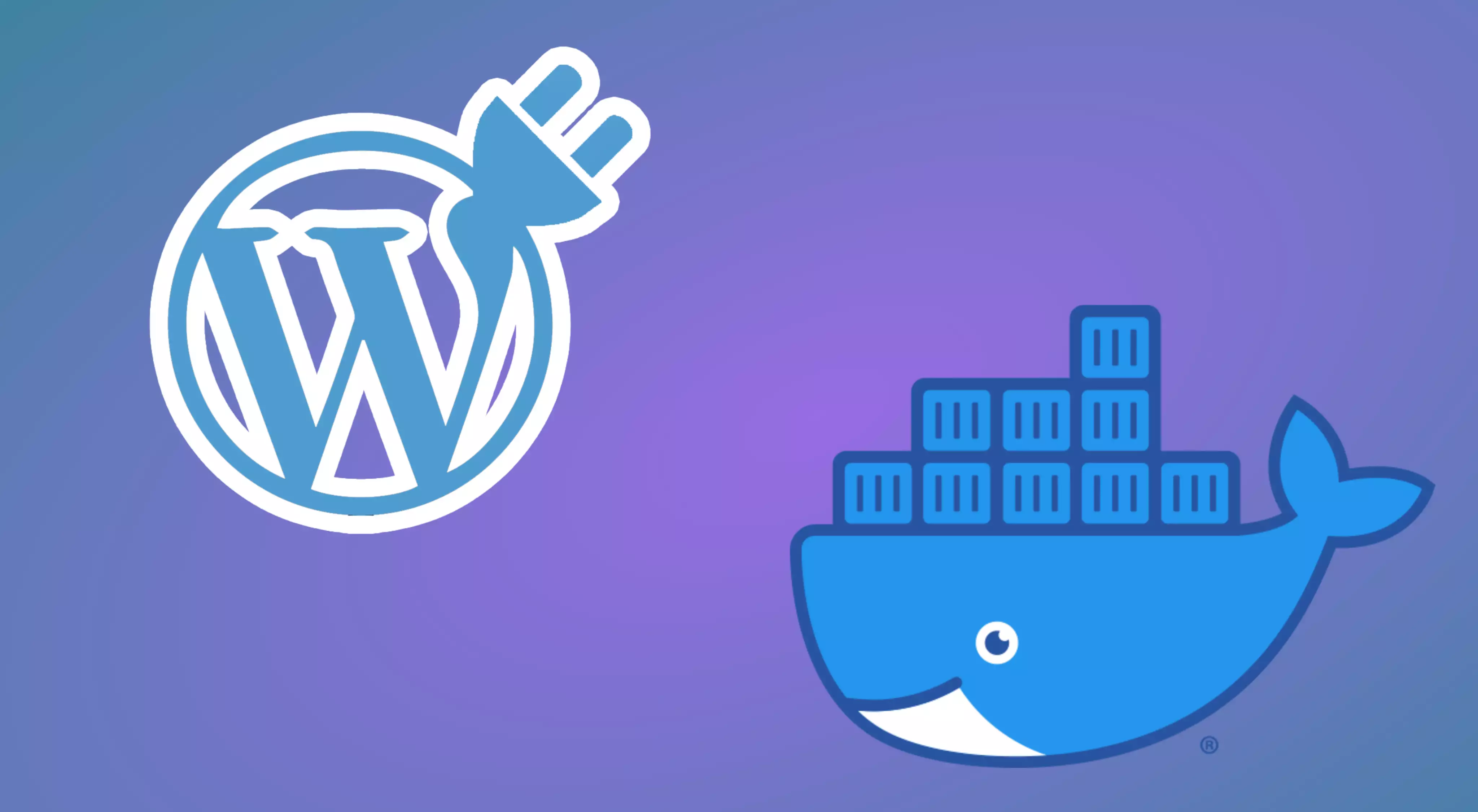 Wordpress Plugin Development Environment